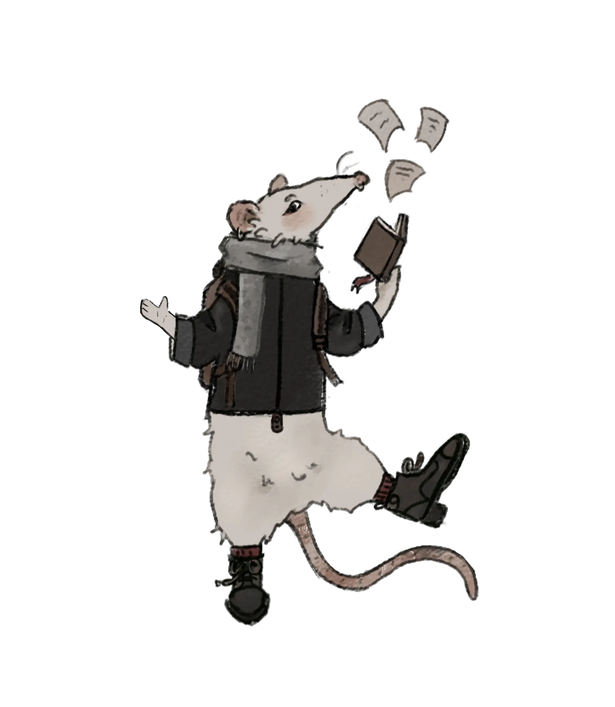 zdjecie2