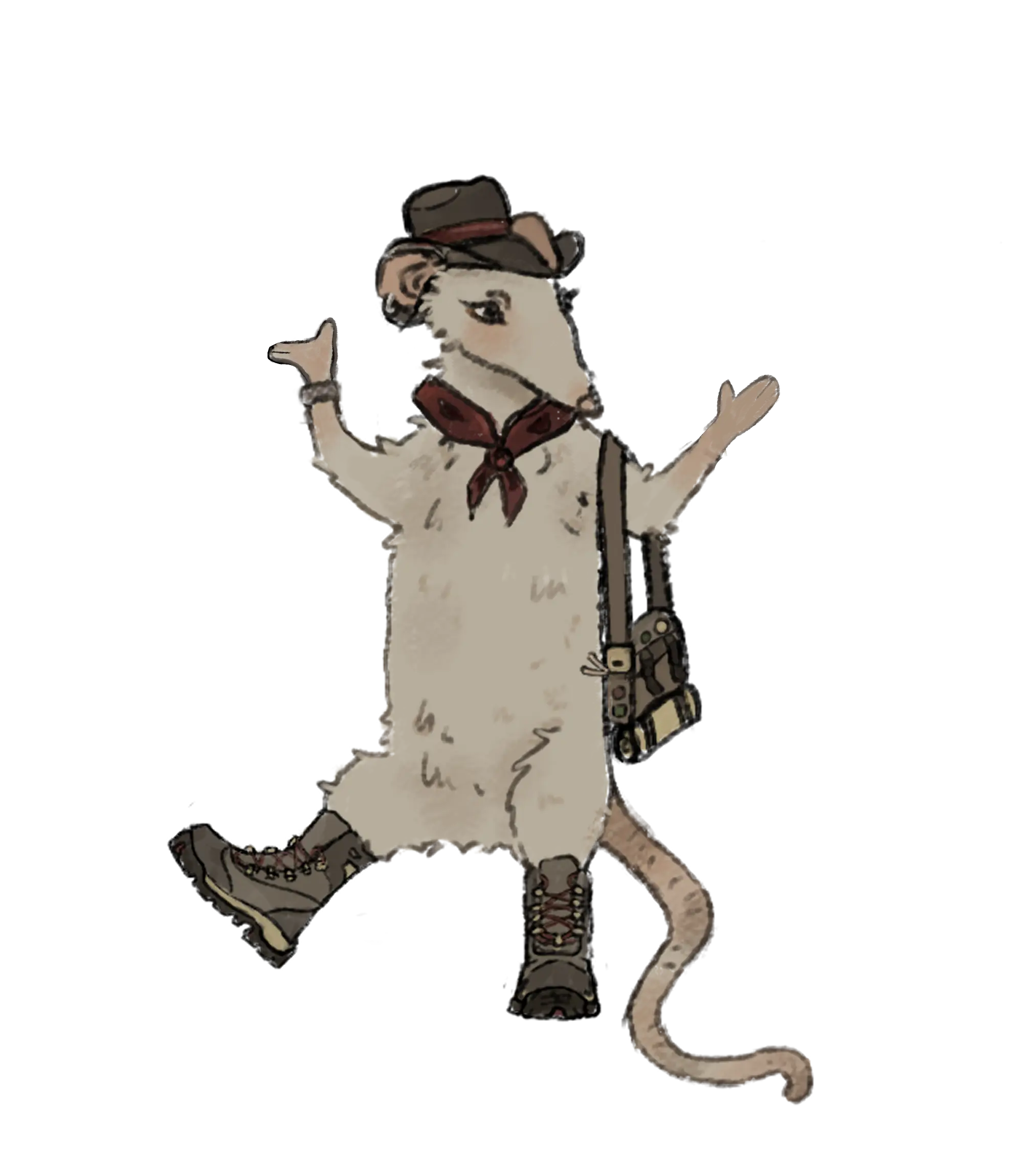 zdjecie3