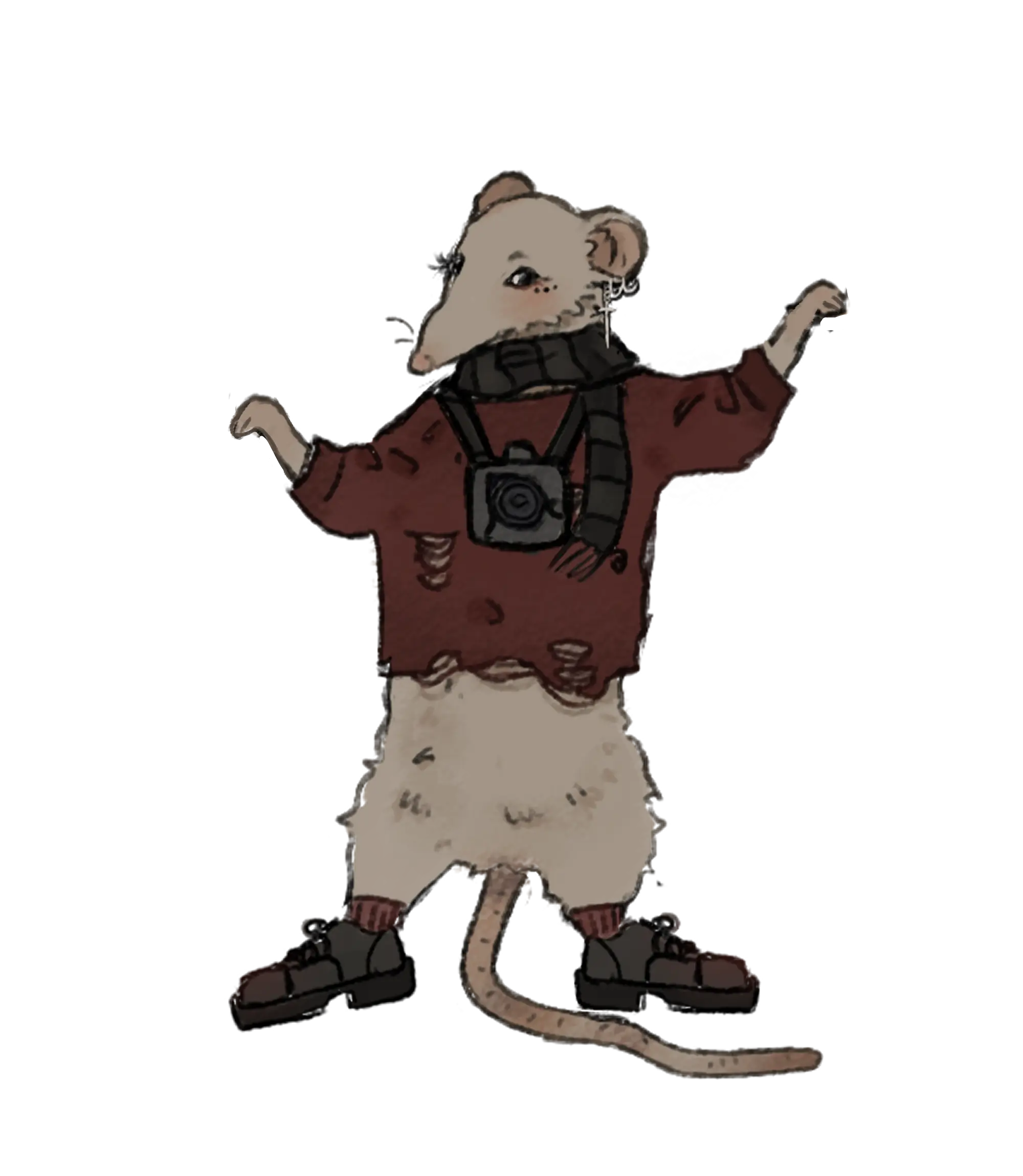 zdjecie5